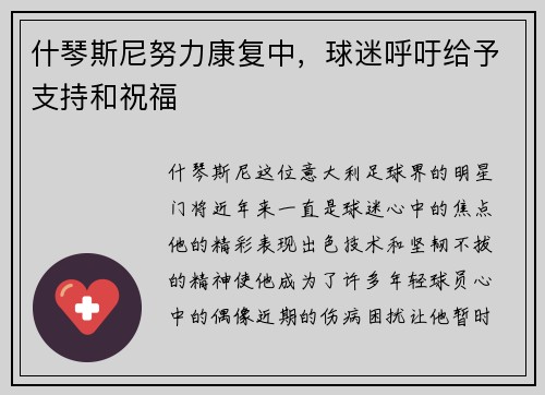 什琴斯尼努力康复中，球迷呼吁给予支持和祝福