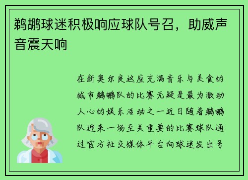 鹈鹕球迷积极响应球队号召，助威声音震天响